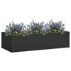 Product Thumbnail Image 2 of 6