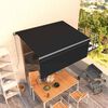 vidaXL Manual Retractable Awning with Blind 3x2,5m Anthracite