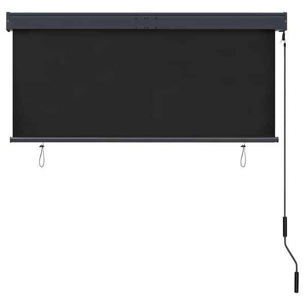 vidaXL Outdoor Roller Blind 140x250 cm Anthracite