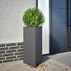 Product Thumbnail Image 2 of 10