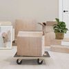 vidaXL Transport Trolleys 2 pcs Rectangular 50x35x11,5 cm 250 kg