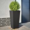 Product Thumbnail Image 2 of 12