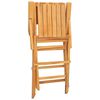 vidaXL Folding Chairs 8 pcs 55x61x90 cm Solid Wood Teak
