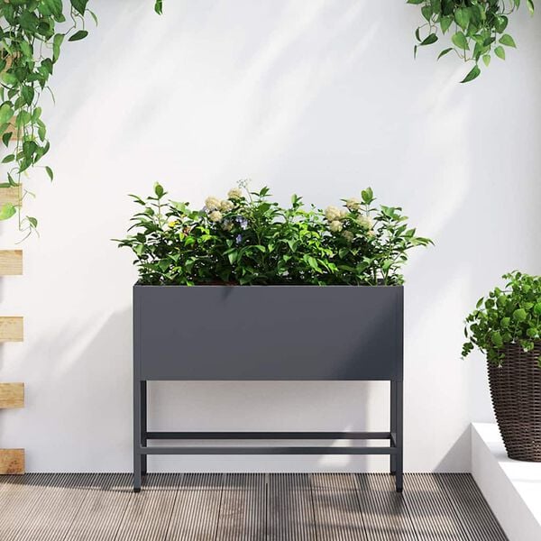 Showing Product Image 2 of 12