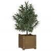 vidaXL Garden Planter Honey Brown 31x31x31 cm Solid Pinewood
