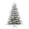 Product Thumbnail Image 2 of 9
