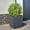 Product Thumbnail Image 2 of 10