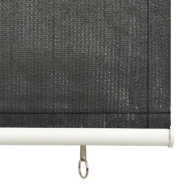 vidaXL Outdoor Roller Blind 60x140 cm Anthracite