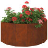 Product Thumbnail Image 3 of 14