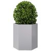 Product Thumbnail Image 5 of 14