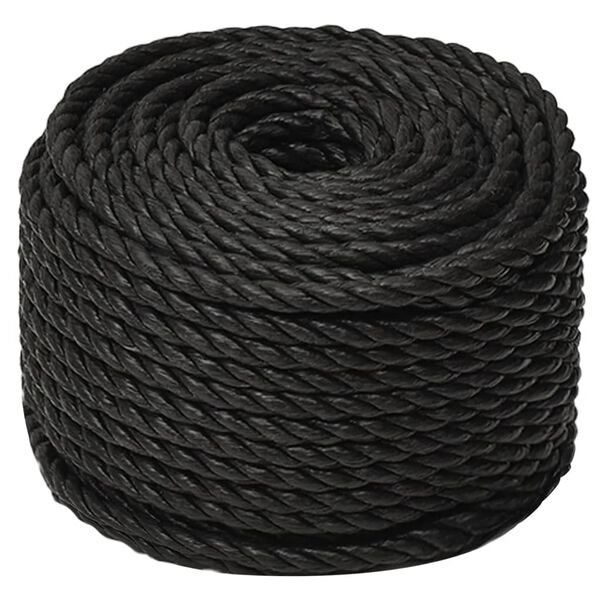 vidaXL Work Rope Black 10 mm 100 m Polypropylene