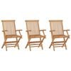 vidaXL Folding Garden Chairs 3 pcs Solid Teak Wood