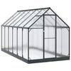 vidaXL Garden Greenhouse with Door Anthracite 183.5 x 363.5 x 207 cm