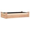 vidaXL Garden Raised Bed with Liner 120x60x25 cm Solid Wood Fir