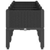 Product Thumbnail Image 4 of 7