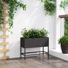 Product Thumbnail Image 4 of 12