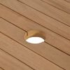 Product Thumbnail Image 6 of 13