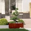 Product Thumbnail Image 2 of 11