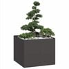 Product Thumbnail Image 2 of 9