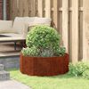 Product Thumbnail Image 4 of 12