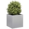 Product Thumbnail Image 2 of 10