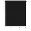 vidaXL Outdoor Roller Blind 225(W)x230(H) cm Black
