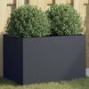 Product Thumbnail Image 2 of 11