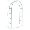 Garden Arch 2 pcs Climbing Plants