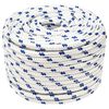 vidaXL Multipurpose Utility Rope 12 mm 100 m White and Blue PP