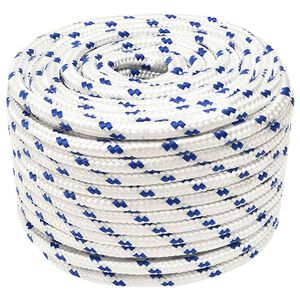 vidaXL Multipurpose Utility Rope 12 mm 100 m White and Blue PP