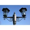vidaXL Garden Light Post 2-arms 215 cm Dark Green/Black Aluminium