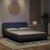 vidaXL Bed Frame with LED without Mattress Dark Grey 152x203 cm Queen Velvet