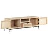 vidaXL TV Cabinet 120x30x40 cm Solid Mango Wood and Natural Cane
