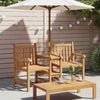vidaXL Garden Outdoor Chairs 152 x 63 x 89 cm Solid Teak Wood