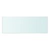 vidaXL Shelves 2 pcs Panel Glass Clear 40x12 cm