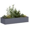 vidaXL Planter Anthracite 200x80x40 cm Steel