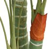 Product Thumbnail Image 2 of 5