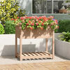 vidaXL Planter with Shelf 82.5x54x81 cm Solid Wood Pine