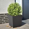 Product Thumbnail Image 2 of 10