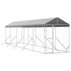 vidaXL Outdoor Dog Kennel with Roof Silver 2x10x2,5 m Galvanised Steel
