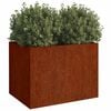 Product Thumbnail Image 3 of 11