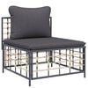 vidaXL 10 Piece Garden Lounge Set with Cushions Anthracite Poly Rattan