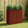 vidaXL Planter 80x40x80 cm Corten Steel