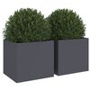 Product Thumbnail Image 4 of 11