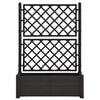 Product Thumbnail Image 4 of 8