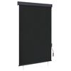 vidaXL Outdoor Roller Blind 120x250 cm Anthracite