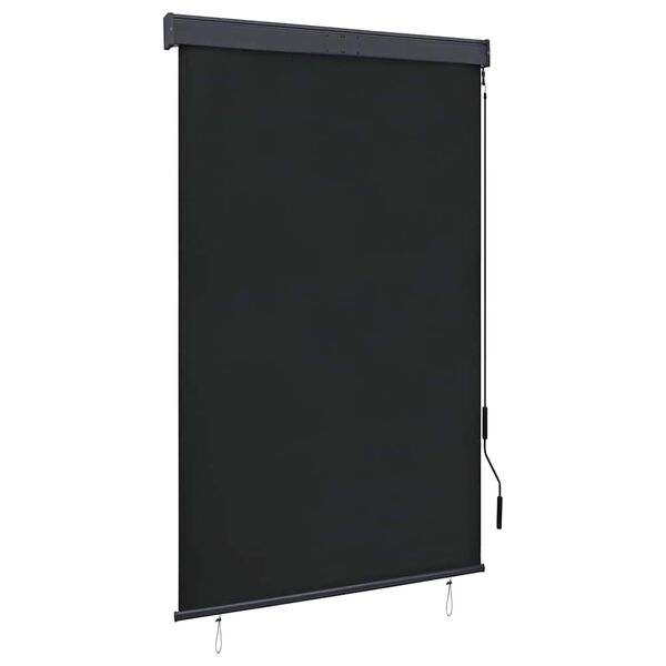 vidaXL Outdoor Roller Blind 120x250 cm Anthracite