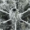 Product Thumbnail Image 7 of 9