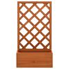 vidaXL Garden Trellis Planter Orange 50x25x90 cm Solid Firwood