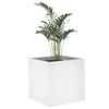 Product Thumbnail Image 6 of 8
